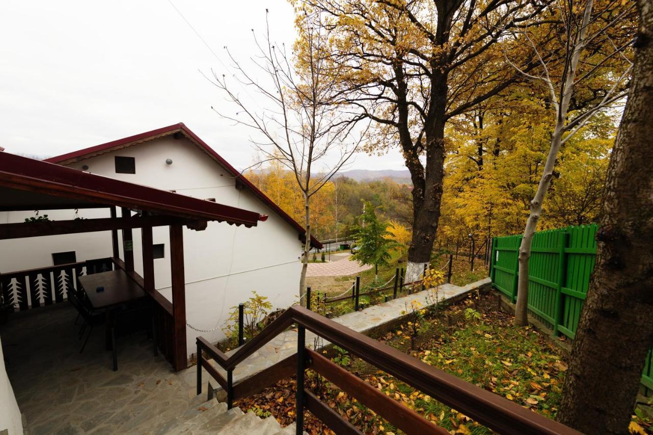 Stejarul Lui Andrei Hotel Izvoarele  Exterior photo